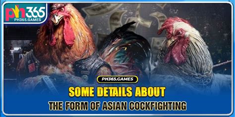 asiancockfighting|ASIAN COCKFIGHTING .